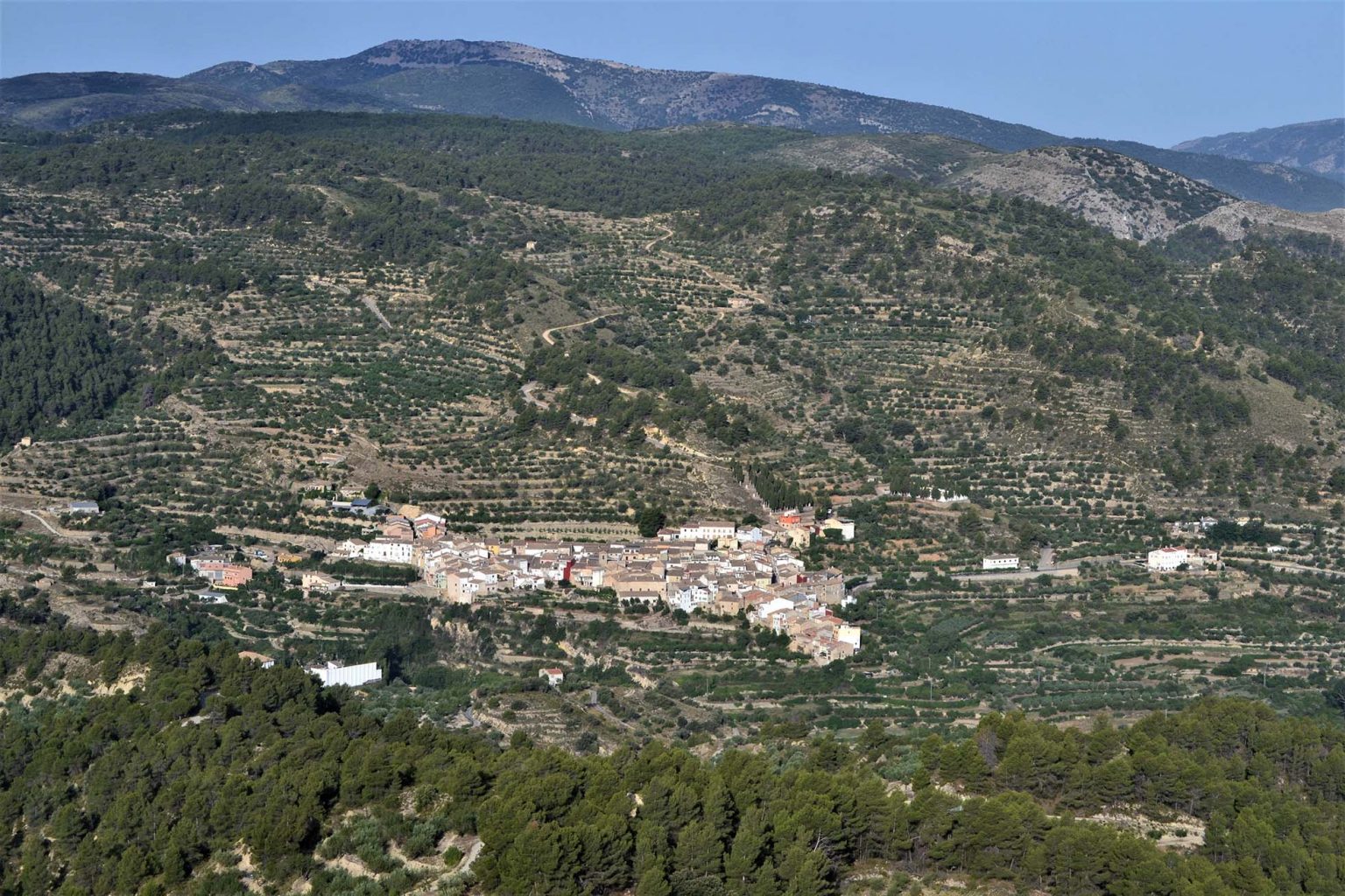 Alojamientos Ayuntamiento de Alcoleja